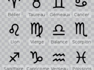 LES SIGNES DU ZODIAQUE